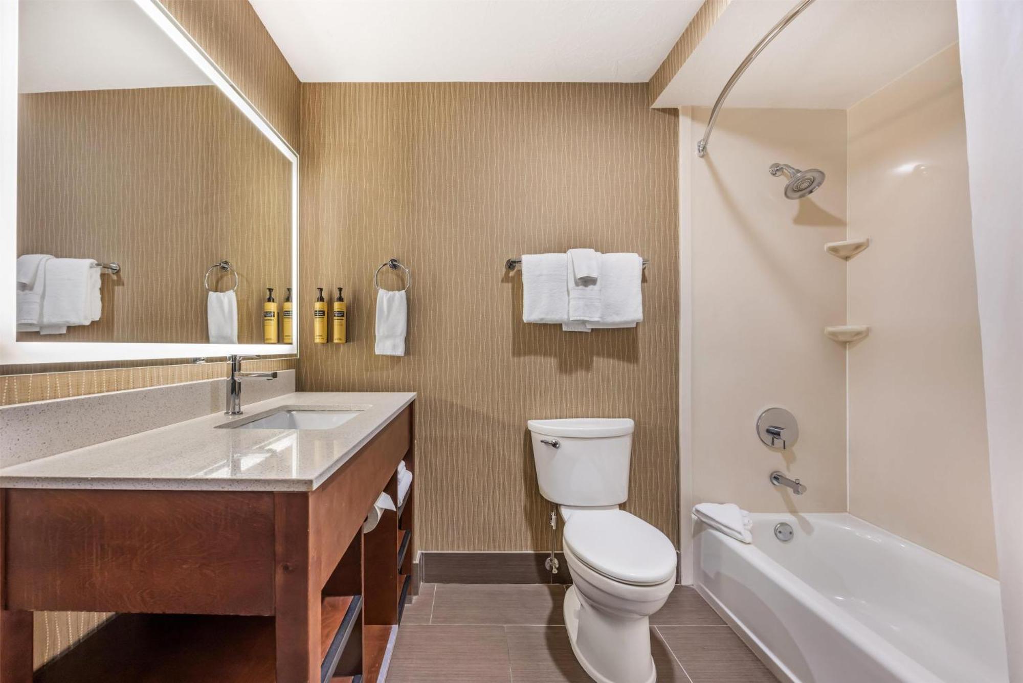 King Suite with Wet Bar