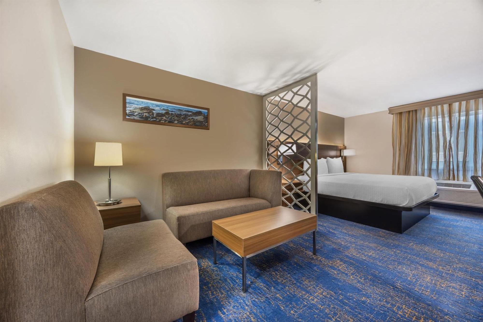 One-Bedroom King Suite